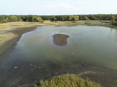 Küçük göl ve çevreleyen ormanın havadan görünüşü