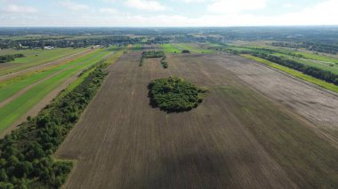 Hava manzaralı sonbahar ormanı ve tarlası