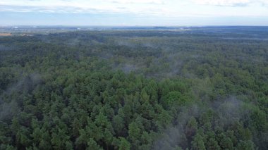 Bereketli yeşil orman tepe örtüsünün puslu hava manzarası