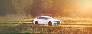 Ağaçların yanında beyaz araba ve sonbaharda çimenler.