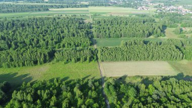 Ağaçların ve tarlaların arasından geçen toprak yol.