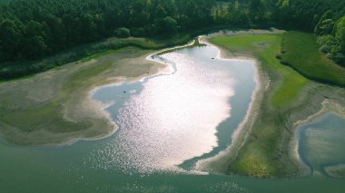 Ormanla çevrili küçük bir göl.