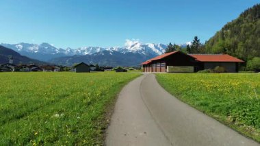 İlkbaharda yüksek dağ zirveleri olan dağlık bir çayır.