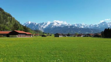 Sarı çiçekli ve dağlı yeşil çayır