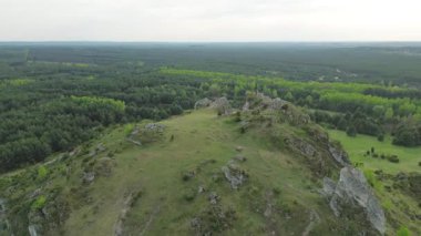Taş tepe şekilli yemyeşil orman