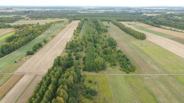 Tarlaları ve orman manzaralı doğa manzarası