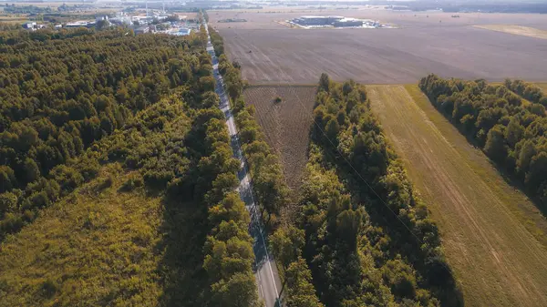Orman ve tarlalarla çevrili boş yol