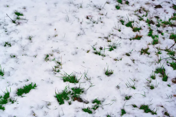 Kırsal yol karla kaplı.