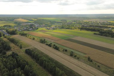 Sonbahar renklerinde tarlalar ve ormanlar