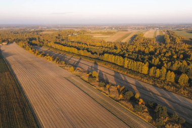 Sonbahar ormanlarının manzaralı manzarası