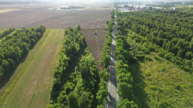 Ağaçlı yolu olan tarım arazisi