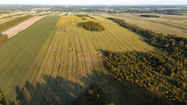 Orman ve tarlalar akşam güneşiyle yıkandı.