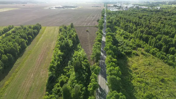 Ağaçlı yolu olan tarım arazisi