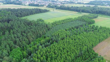 Kendini Yenilendiren Orman İnsansız Hava Aracı Görünümü