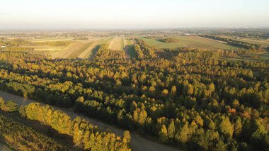 Sonbahar ormanlarının manzaralı manzarası