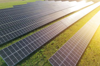 Günışığında birden fazla güneş paneli olan yenilenebilir enerji çiftliği