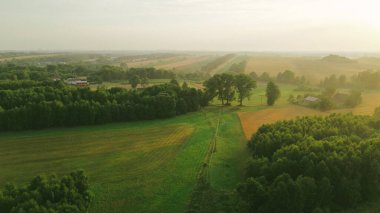 Güneşli sis kırsal alanlarda ve çayırlarda şafakta