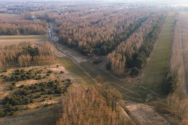 Mevsimlik ağaçların değiştiği kırsal bir orman.