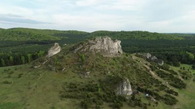 Yeşil orman manzarasında kayalık patika