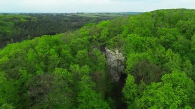Kalın orman ağaçlarının içindeki kaya yüzeyi