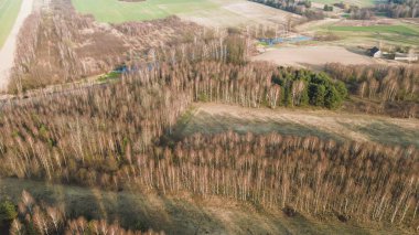 Orman arazisi gökyüzünden ele geçirildi