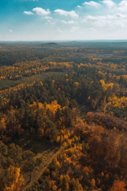 Sonbaharda yukarıdan aydınlık sonbahar ormanı