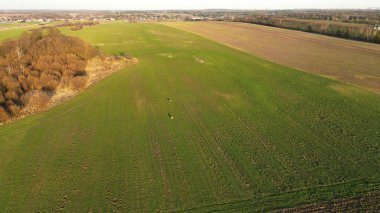 Gökyüzünden geyikli manzaralı tarım arazisi