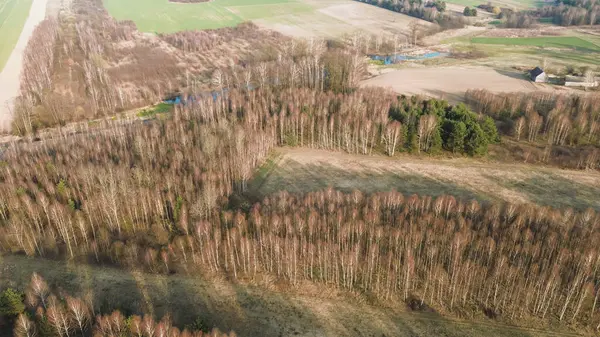 Orman arazisi gökyüzünden ele geçirildi