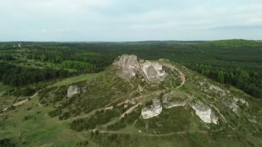 Yükselmiş kayalık tepenin etrafındaki yoğun orman