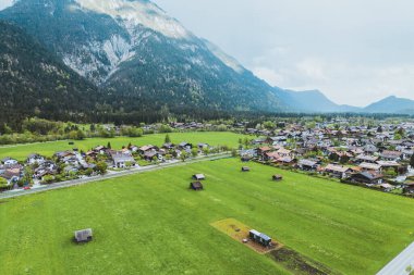 Karlı tepeleri olan yeşil dağlık arazi ve orman