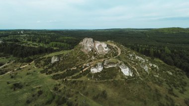 Yükselmiş kayalık tepenin etrafındaki yoğun orman