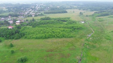 Kırsal alan Genç Ağaçlarla kaplı