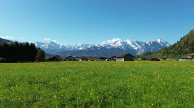 Çayır ve orman ağaçlarıyla dağlık bir zemin