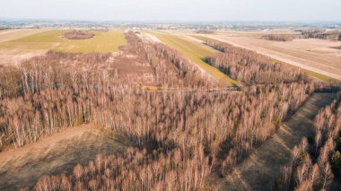 Orman arazisi gökyüzünden ele geçirildi