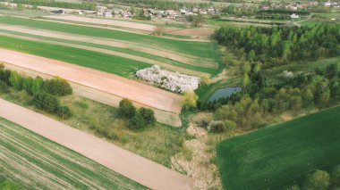 Kırsal alanda açan dallar