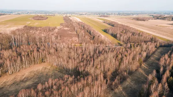 Orman arazisi gökyüzünden ele geçirildi