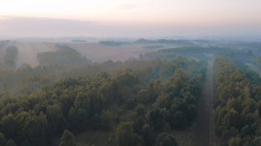 Yeşil kırsal alanda puslu sabah güneşi
