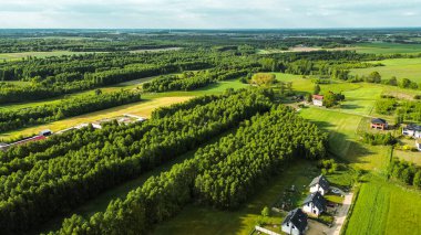 Genç yeşil orman ve yukarıdan gelen tarlalar