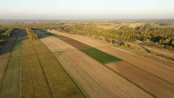 Kırsal tarım arazileri ve orman hava manzarası