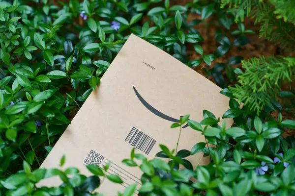 Çimenlerin üzerinde bulunan Amazon paket zarfı 05.05.2025 Polonya Avrupa