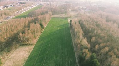 Akşam güneşi altında tarımsal toprakları sürdüm.
