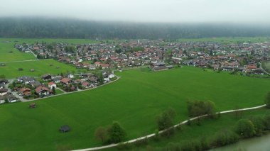 Çiçek açan bitki ve otlarla Alpler manzarası