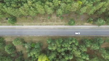 Asfalt yolu yeşil ormanı kesiyor.