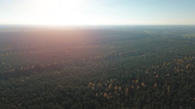 Sonbahar mevsiminde bir ormanın üzerinde gün doğumu