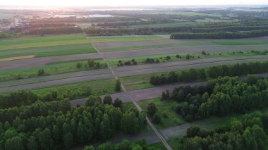 Yazın yemyeşil ağaçlarla dolu altın bir saat.