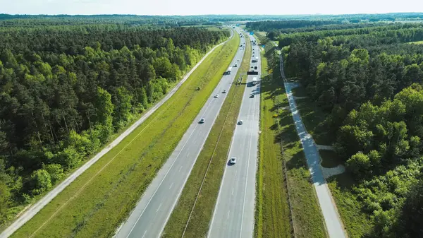 Asfalt yolda güzel yapraklar var.