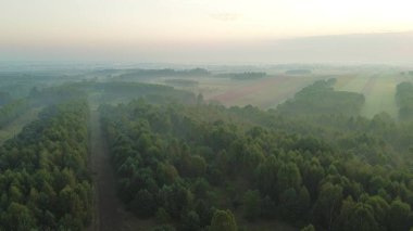 Yeşil, kırsal Avrupa manzarasında manzara sisli