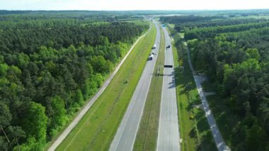 Renkli ormanda düz asfalt yol