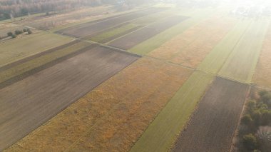 Renkli ağaçlı kırsal manzara