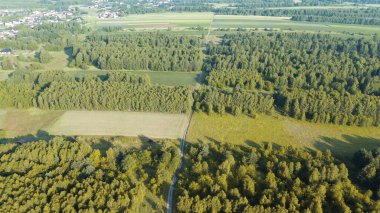 Orman arazisi tarlalarla çevrili.